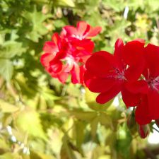 WP 20131005 12 41 58 Proa