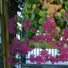 WP 20131005 15 21 29 Proa