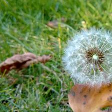 WP 20141004 16 10 19 Proac