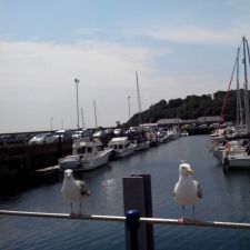 IMG 20130627 124916a