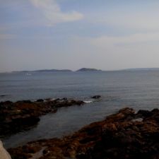 IMG 20130627 131906a