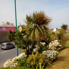 IMG 20130627 154624a